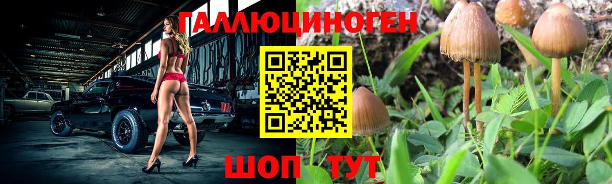 Галлюциногенные грибы Magic Shrooms Биробиджан