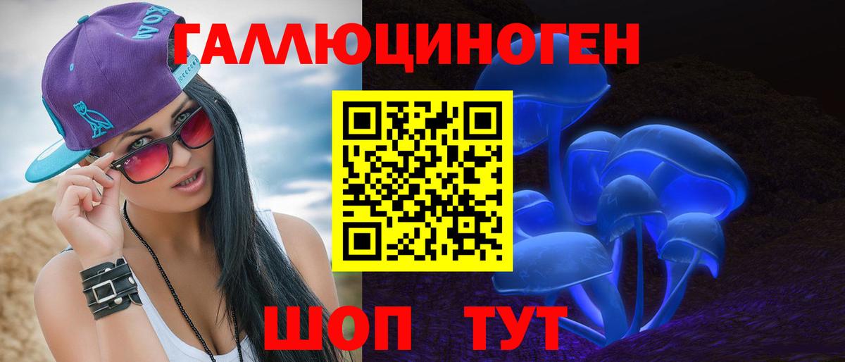 Биробиджан  где найти   Вход с VPN  Псилоцибиновые грибы ЛСД 